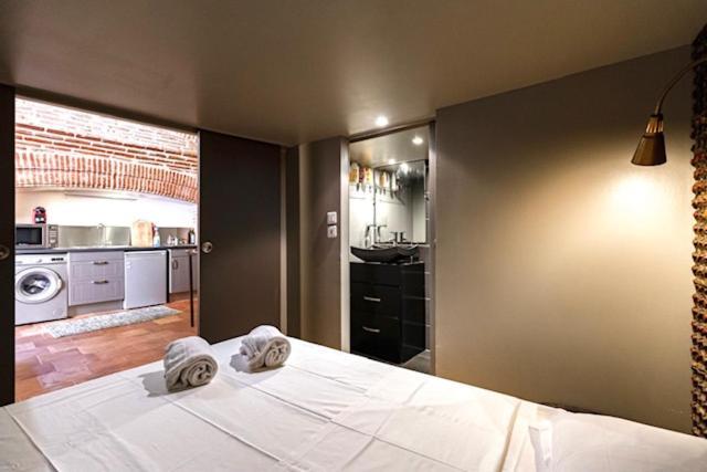 Duplex Climatise Dans Un Monument Historique Apartment ตูลูส ภายนอก รูปภาพ